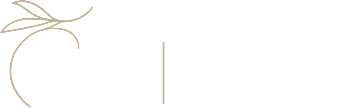 MC Proyectos, Mobiliario y Construcción